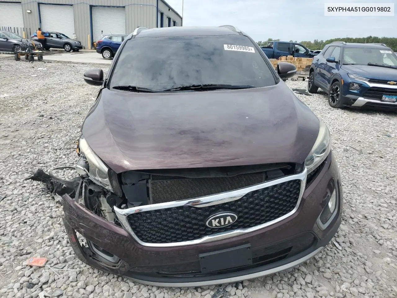 5XYPH4A51GG019802 2016 Kia Sorento Ex