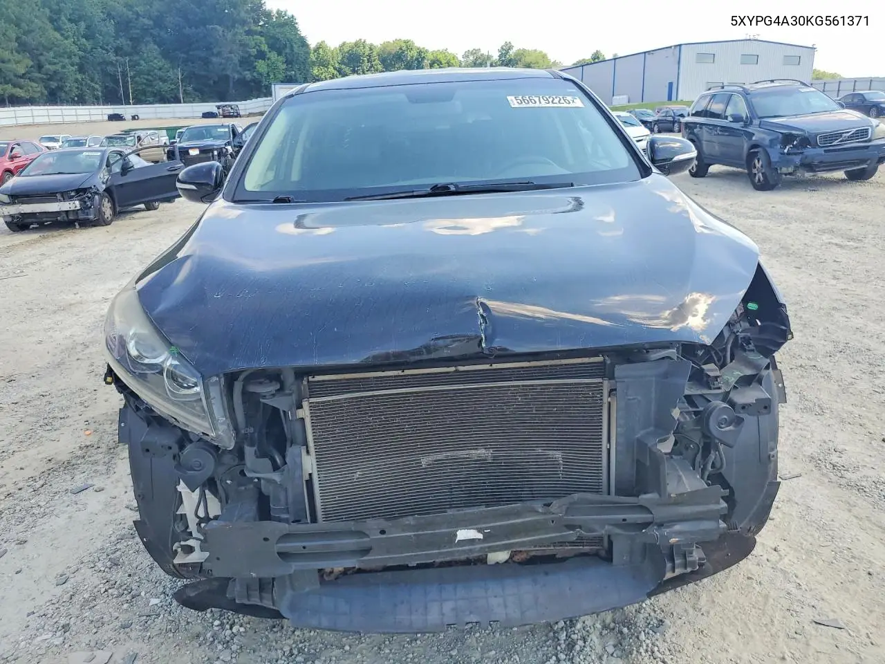 2019 Kia Sorento L VIN: 5XYPG4A30KG561371 Lot: 56679226