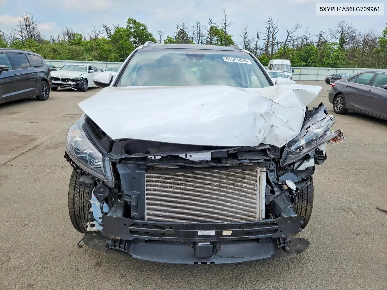 2020 Kia Sorento Ex V6 VIN: 5XYPH4A56LG709961 Lot: 55591836