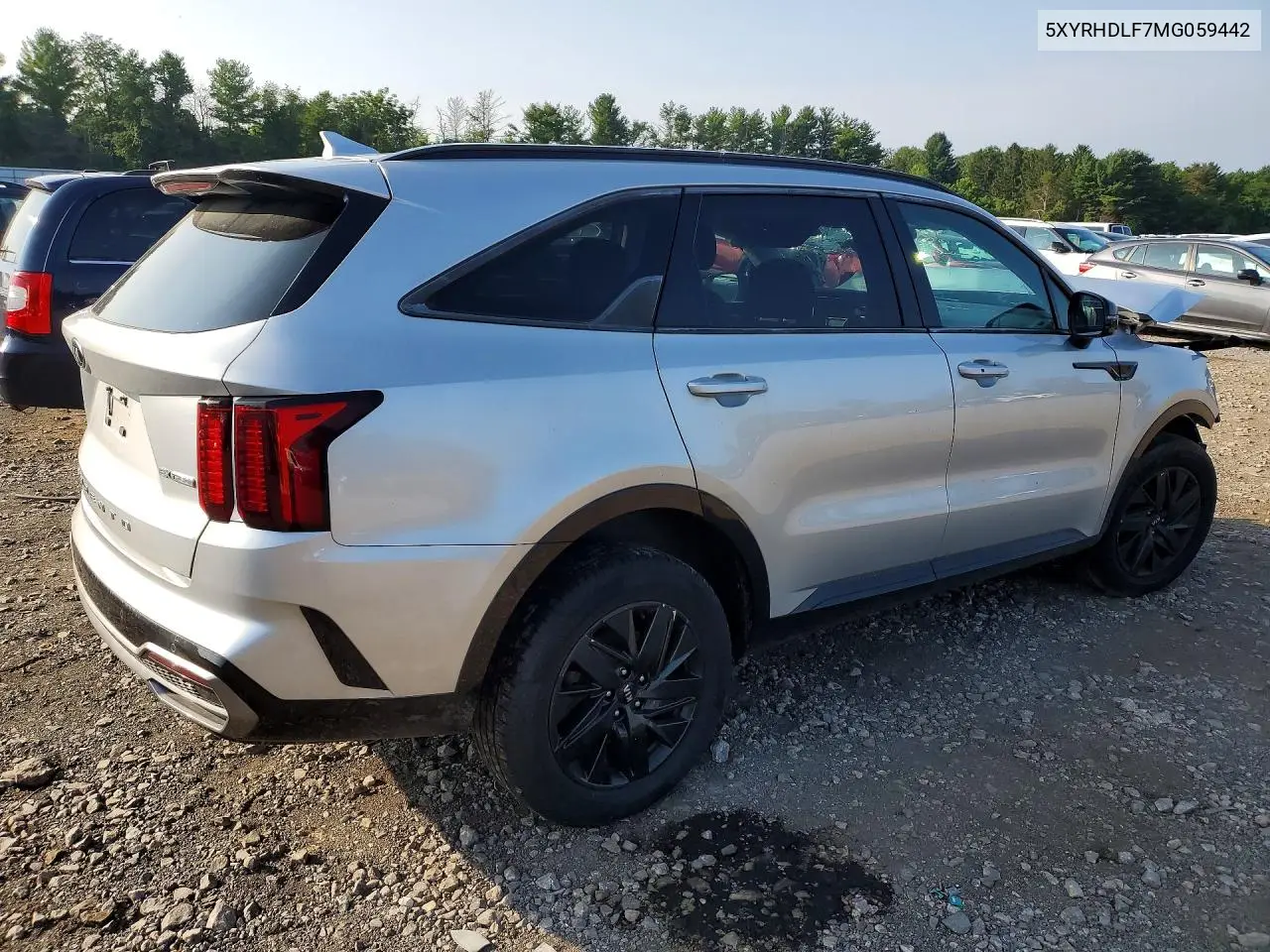 2021 Kia Sorento Ex VIN: 5XYRHDLF7MG059442 Lot: 60028256