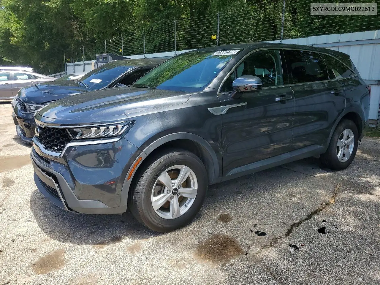 2021 Kia Sorento Lx VIN: 5XYRGDLC9MG022613 Lot: 60175436