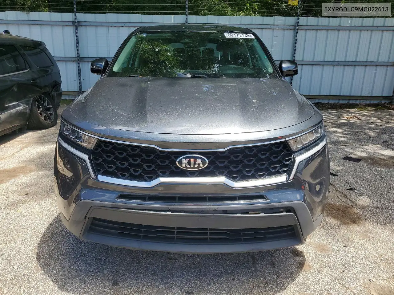 2021 Kia Sorento Lx VIN: 5XYRGDLC9MG022613 Lot: 60175436