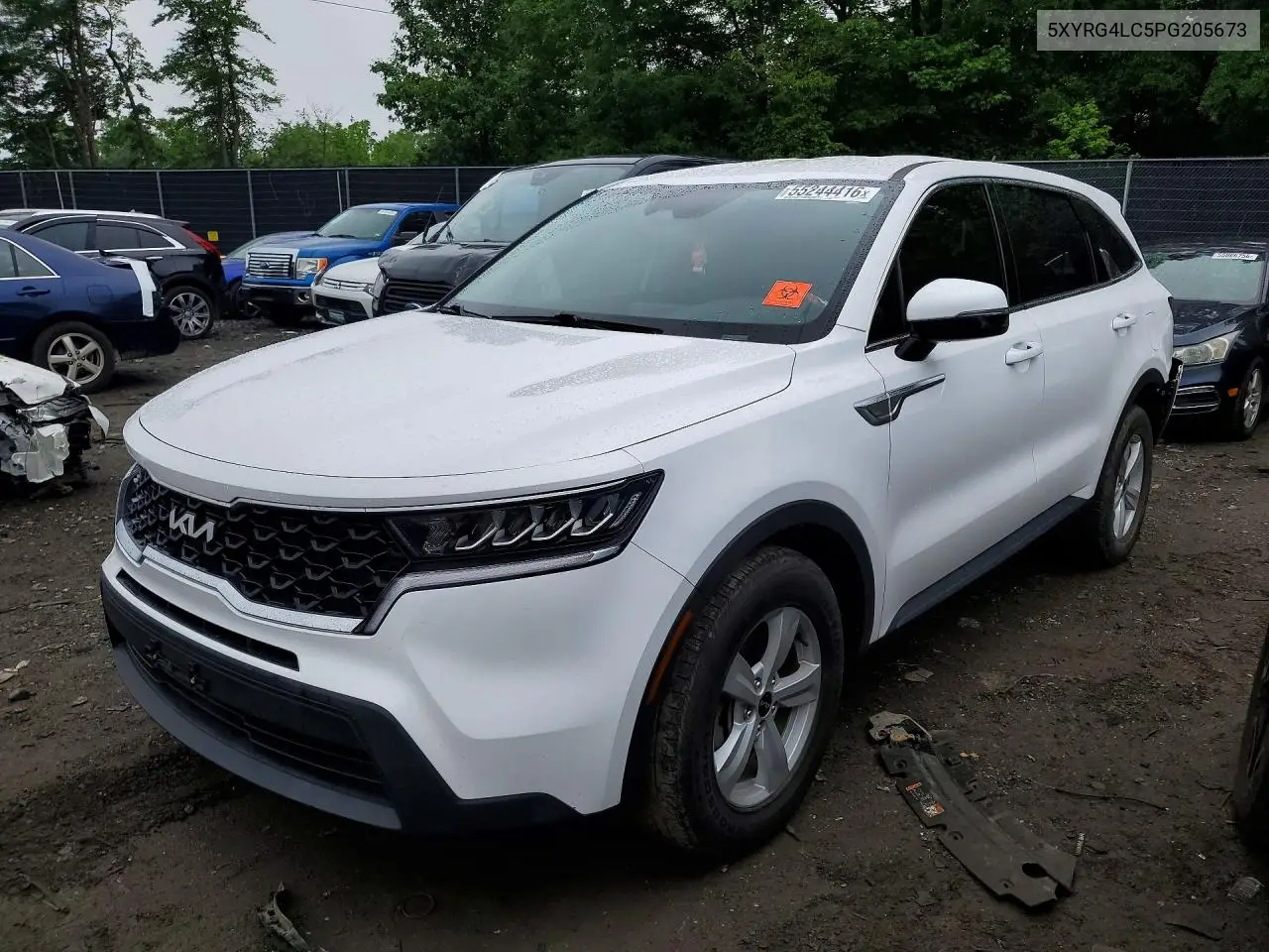 2023 Kia Sorento Lx VIN: 5XYRG4LC5PG205673 Lot: 55244416