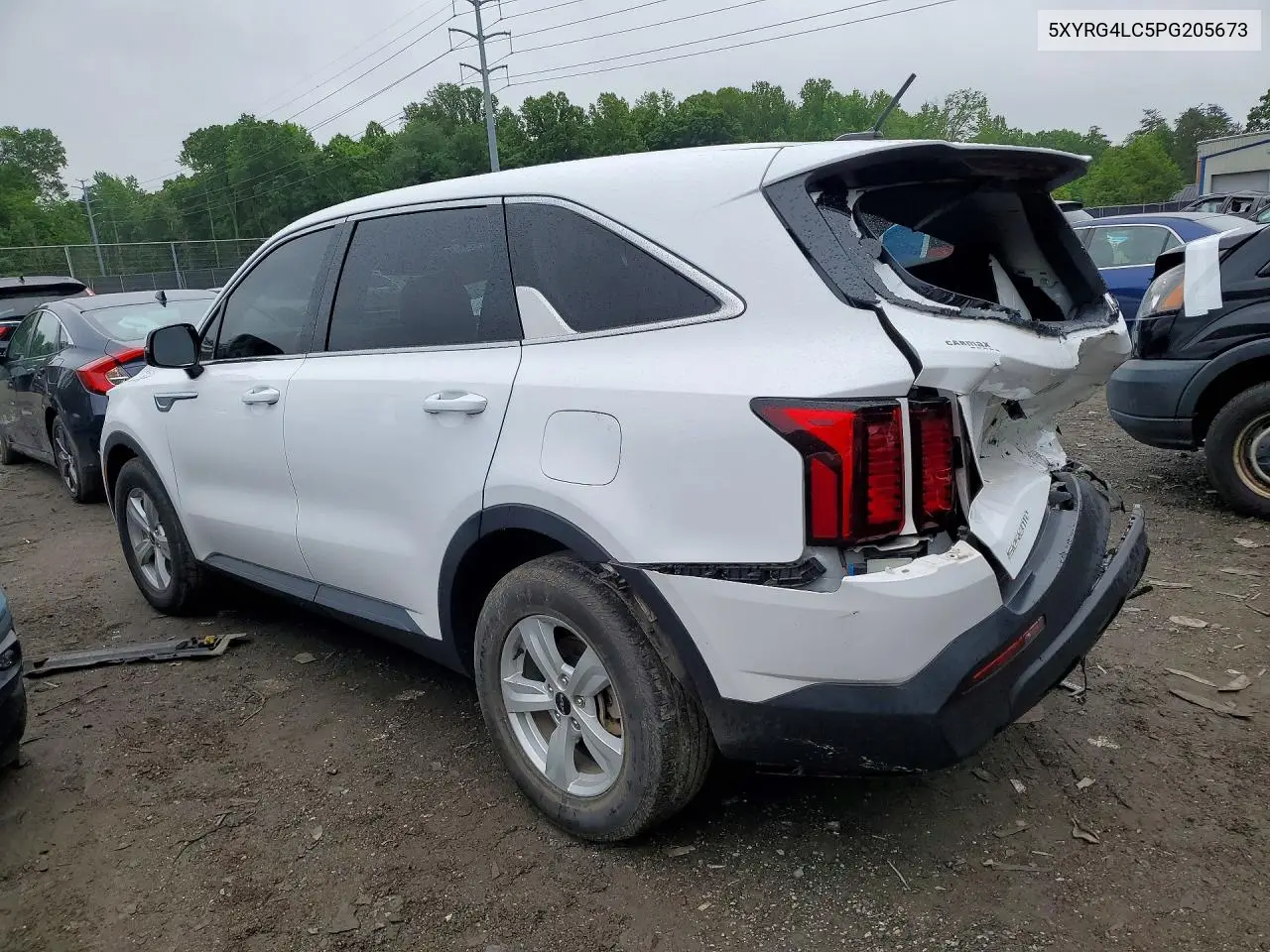 2023 Kia Sorento Lx VIN: 5XYRG4LC5PG205673 Lot: 55244416