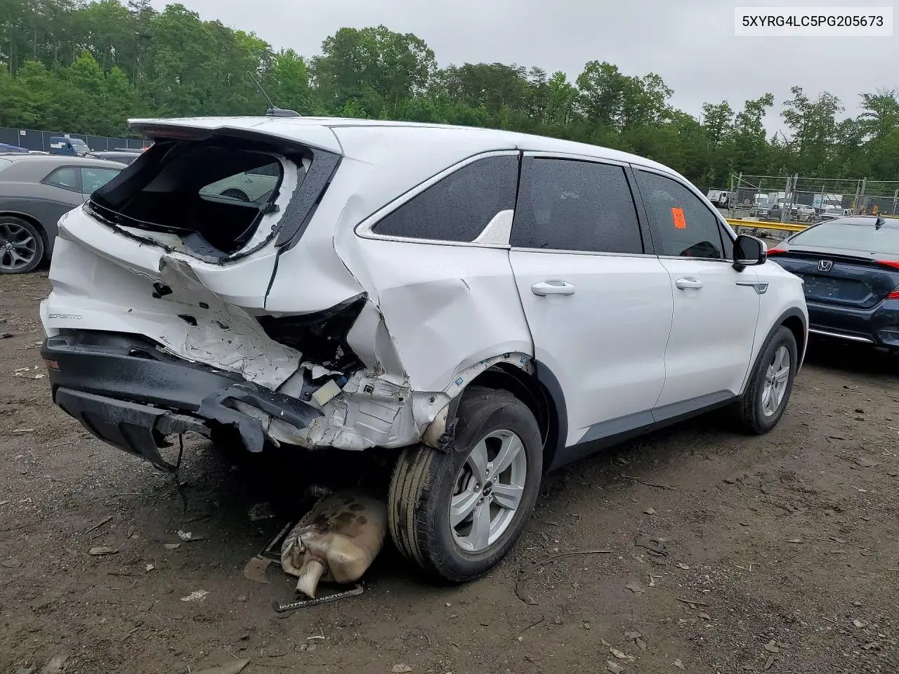 2023 Kia Sorento Lx VIN: 5XYRG4LC5PG205673 Lot: 55244416