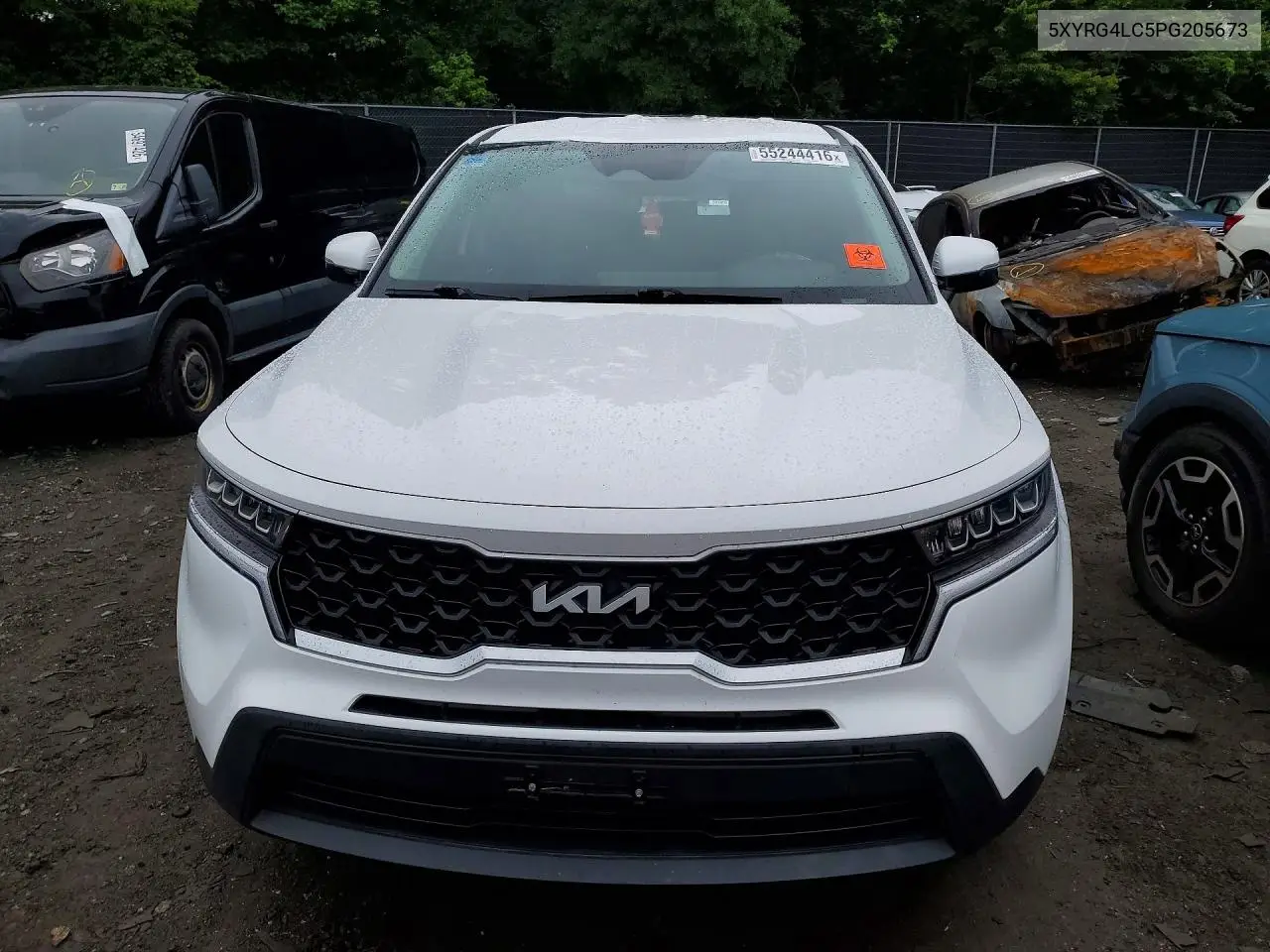 2023 Kia Sorento Lx VIN: 5XYRG4LC5PG205673 Lot: 55244416