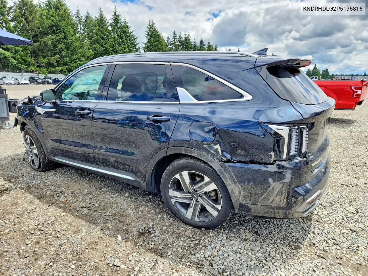2023 Kia Sorento Ex VIN: KNDRHDLG2P5175816 Lot: 56189926