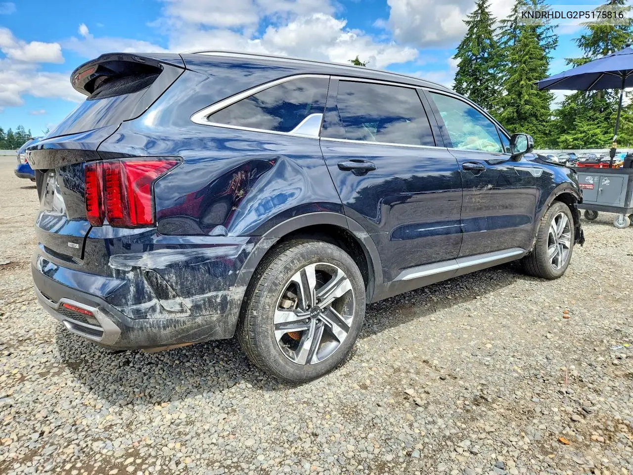 2023 Kia Sorento Ex VIN: KNDRHDLG2P5175816 Lot: 56189926