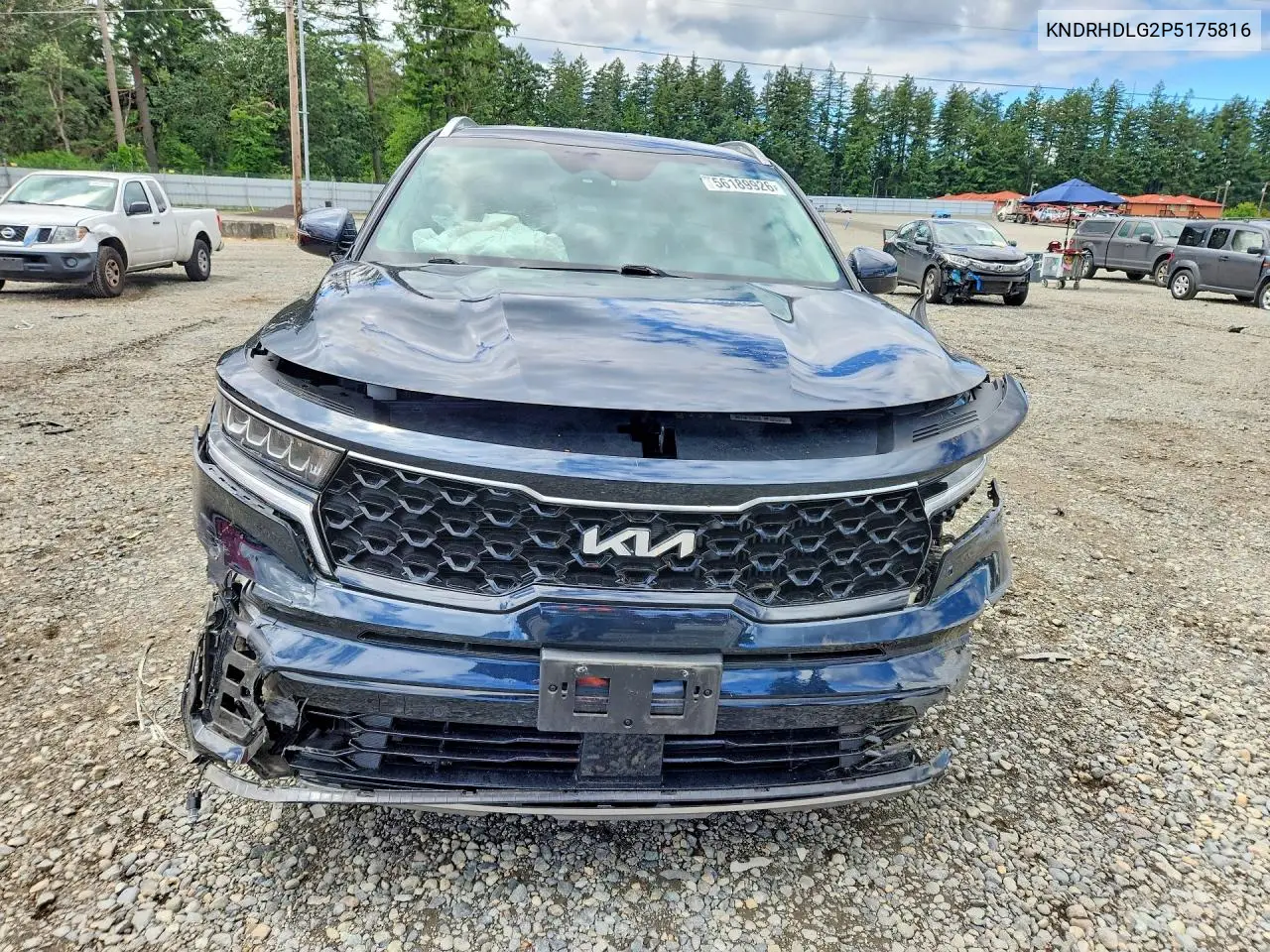 2023 Kia Sorento Ex VIN: KNDRHDLG2P5175816 Lot: 56189926