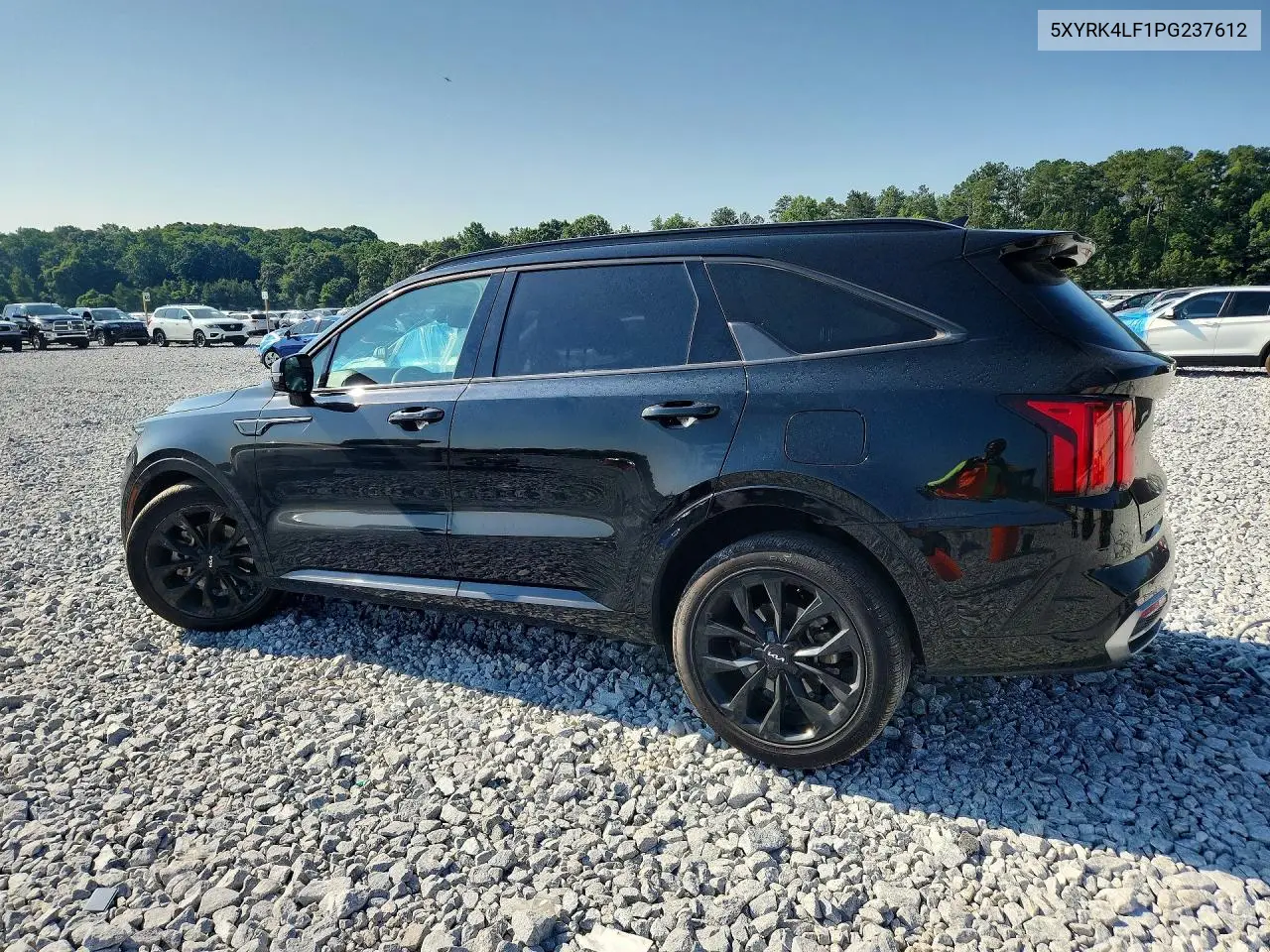2023 Kia Sorento Sx VIN: 5XYRK4LF1PG237612 Lot: 56862616