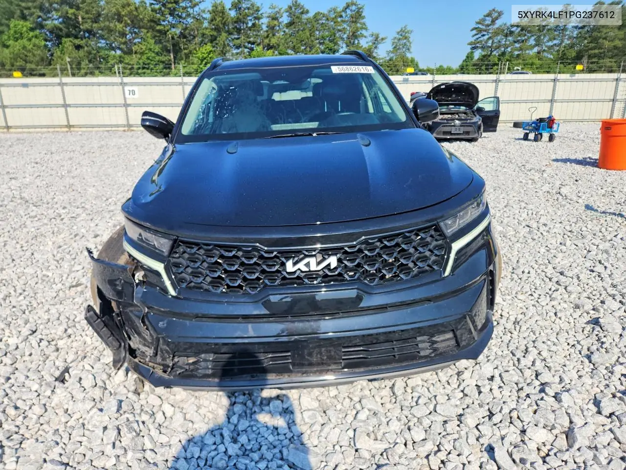 2023 Kia Sorento Sx VIN: 5XYRK4LF1PG237612 Lot: 56862616
