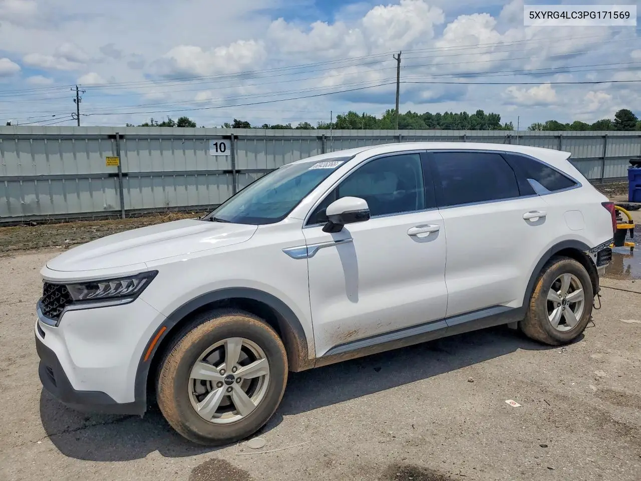 2023 Kia Sorento Lx VIN: 5XYRG4LC3PG171569 Lot: 60436366