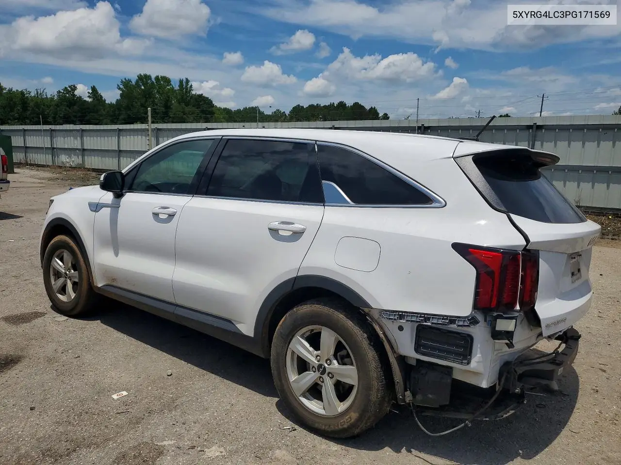 2023 Kia Sorento Lx VIN: 5XYRG4LC3PG171569 Lot: 60436366