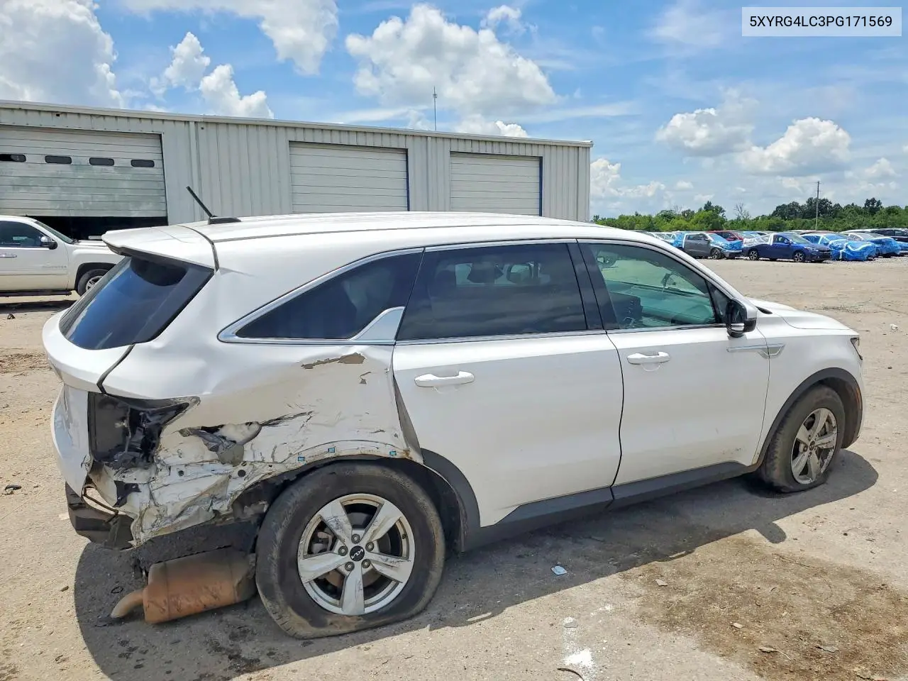 2023 Kia Sorento Lx VIN: 5XYRG4LC3PG171569 Lot: 60436366