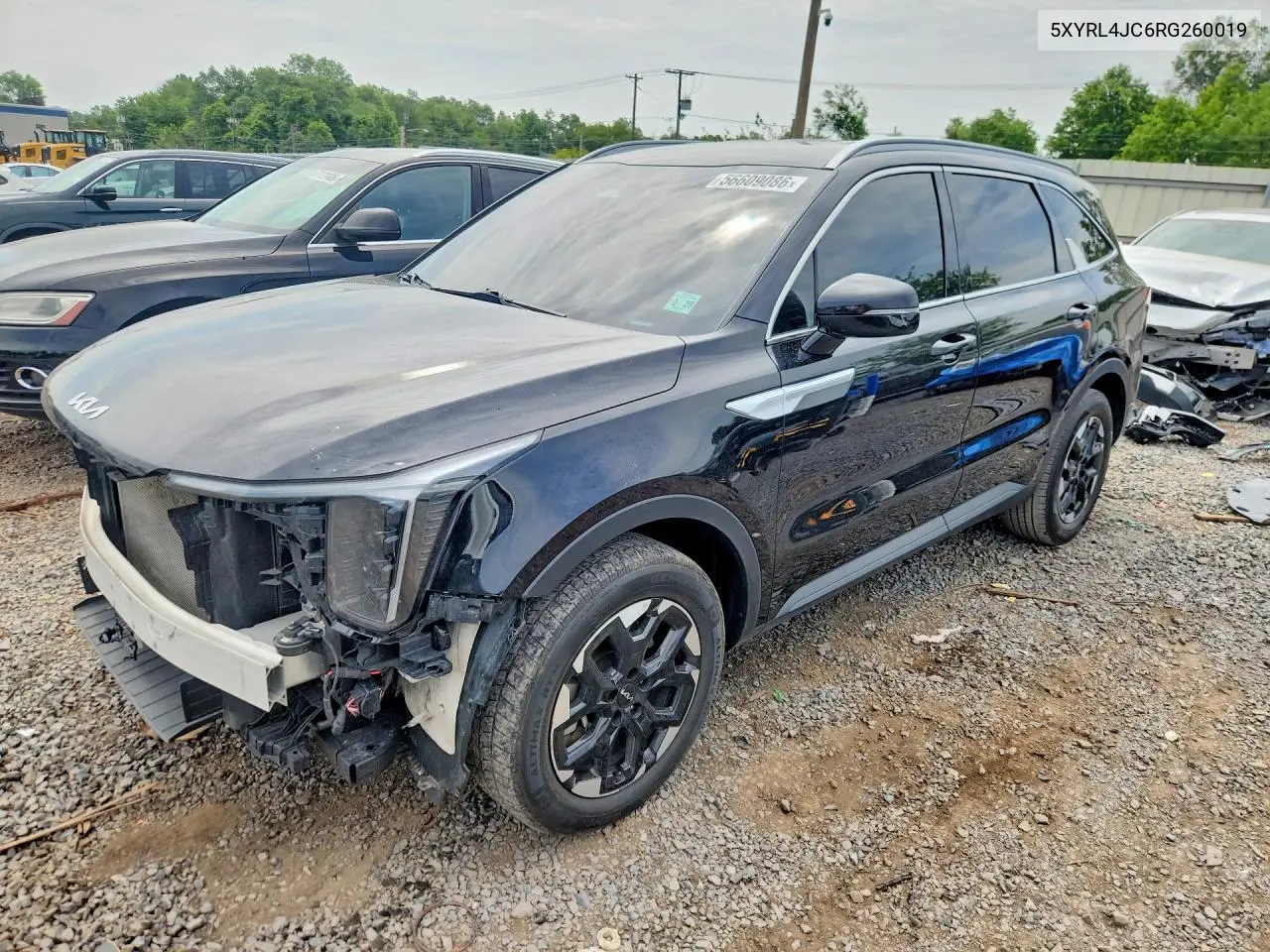 2024 Kia Sorento S VIN: 5XYRL4JC6RG260019 Lot: 56609086