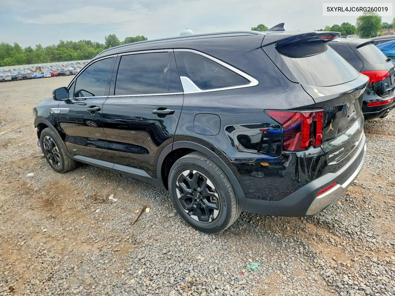 2024 Kia Sorento S VIN: 5XYRL4JC6RG260019 Lot: 56609086