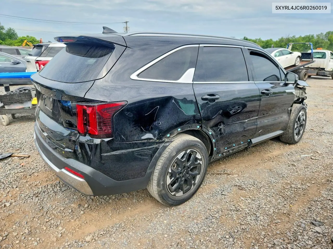 2024 Kia Sorento S VIN: 5XYRL4JC6RG260019 Lot: 56609086