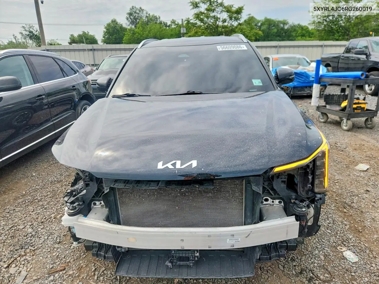 2024 Kia Sorento S VIN: 5XYRL4JC6RG260019 Lot: 56609086