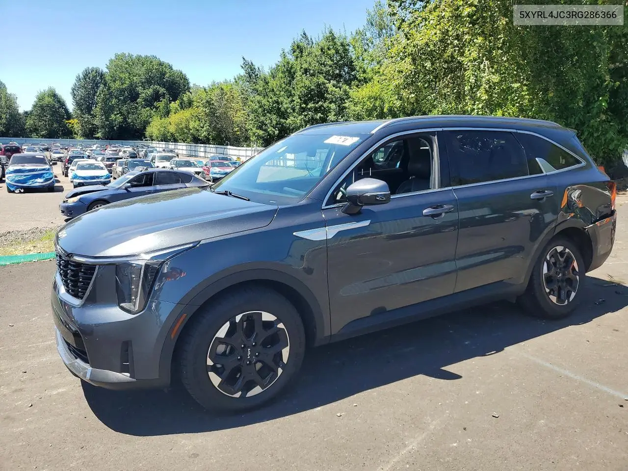 2024 Kia Sorento S VIN: 5XYRL4JC3RG286366 Lot: 60676716