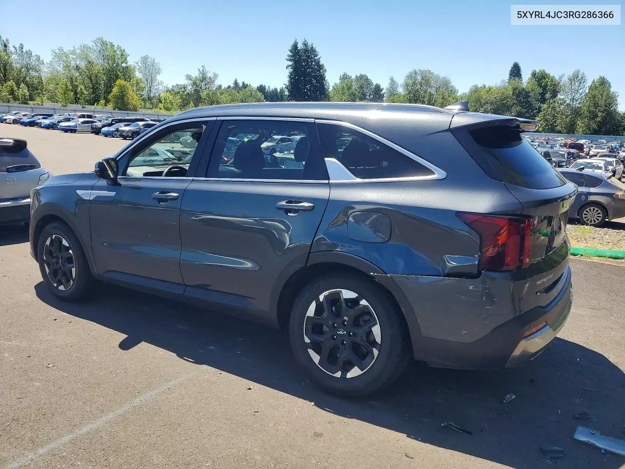 2024 Kia Sorento S VIN: 5XYRL4JC3RG286366 Lot: 60676716