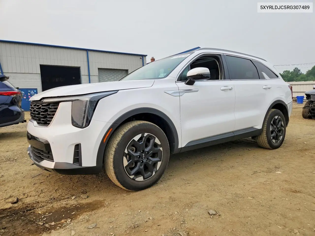 2024 Kia Sorento S VIN: 5XYRLDJC5RG307489 Lot: 61522216
