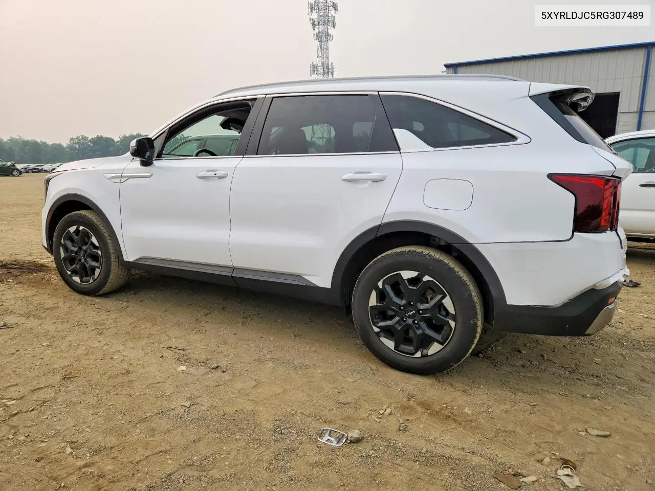 2024 Kia Sorento S VIN: 5XYRLDJC5RG307489 Lot: 61522216