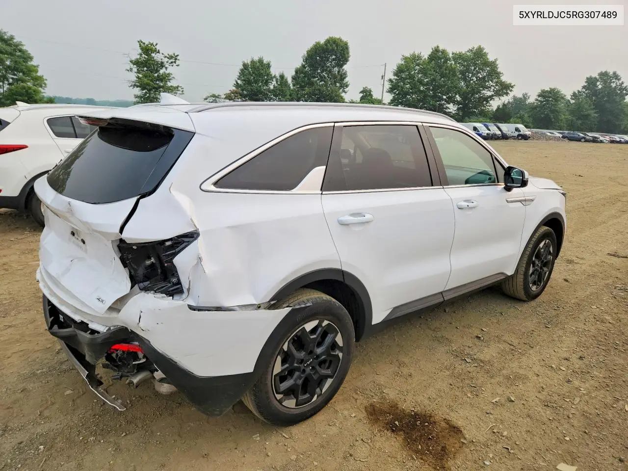 2024 Kia Sorento S VIN: 5XYRLDJC5RG307489 Lot: 61522216