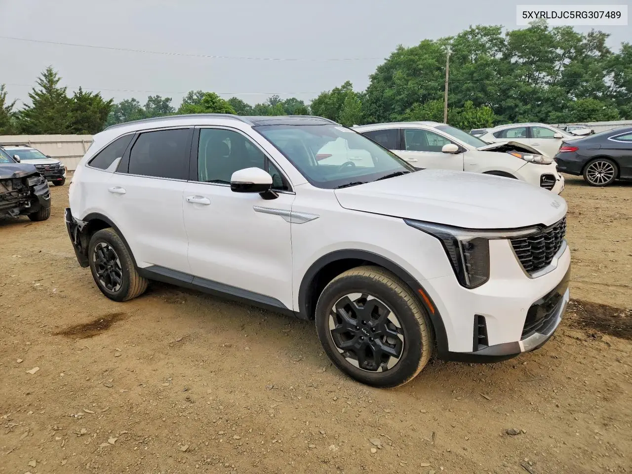 2024 Kia Sorento S VIN: 5XYRLDJC5RG307489 Lot: 61522216