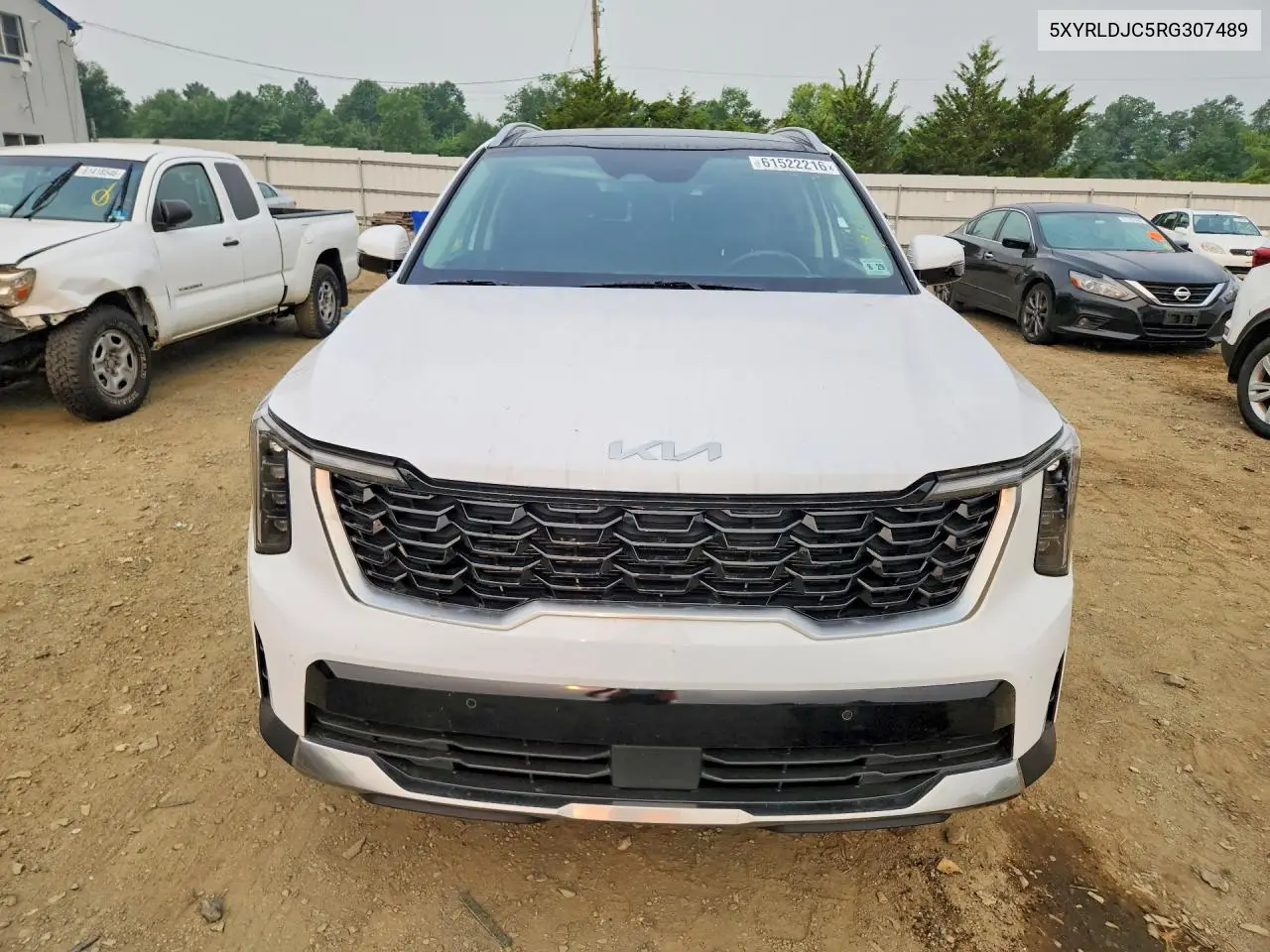 2024 Kia Sorento S VIN: 5XYRLDJC5RG307489 Lot: 61522216
