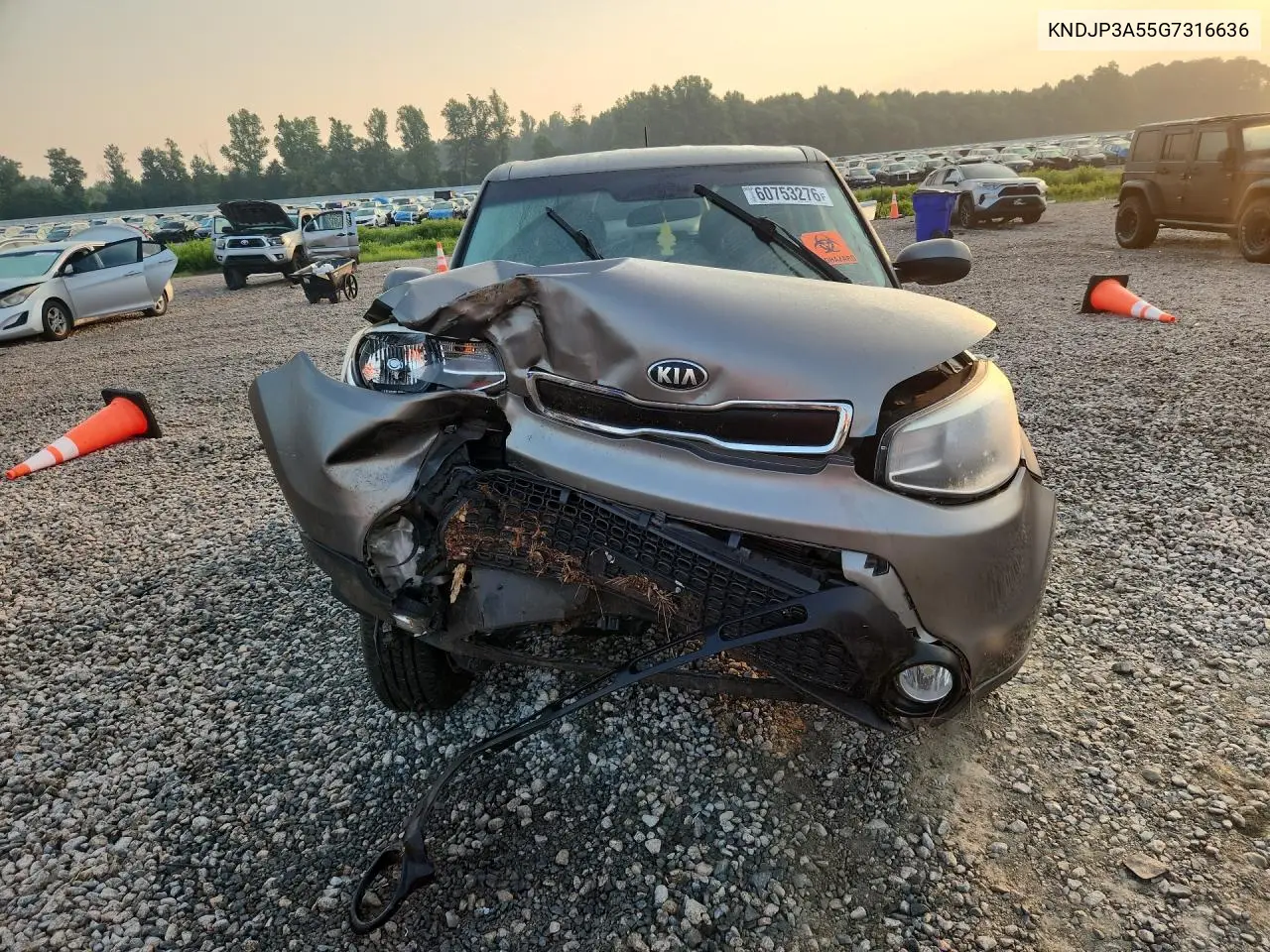 2016 Kia Soul + VIN: KNDJP3A55G7316636 Lot: 60753276