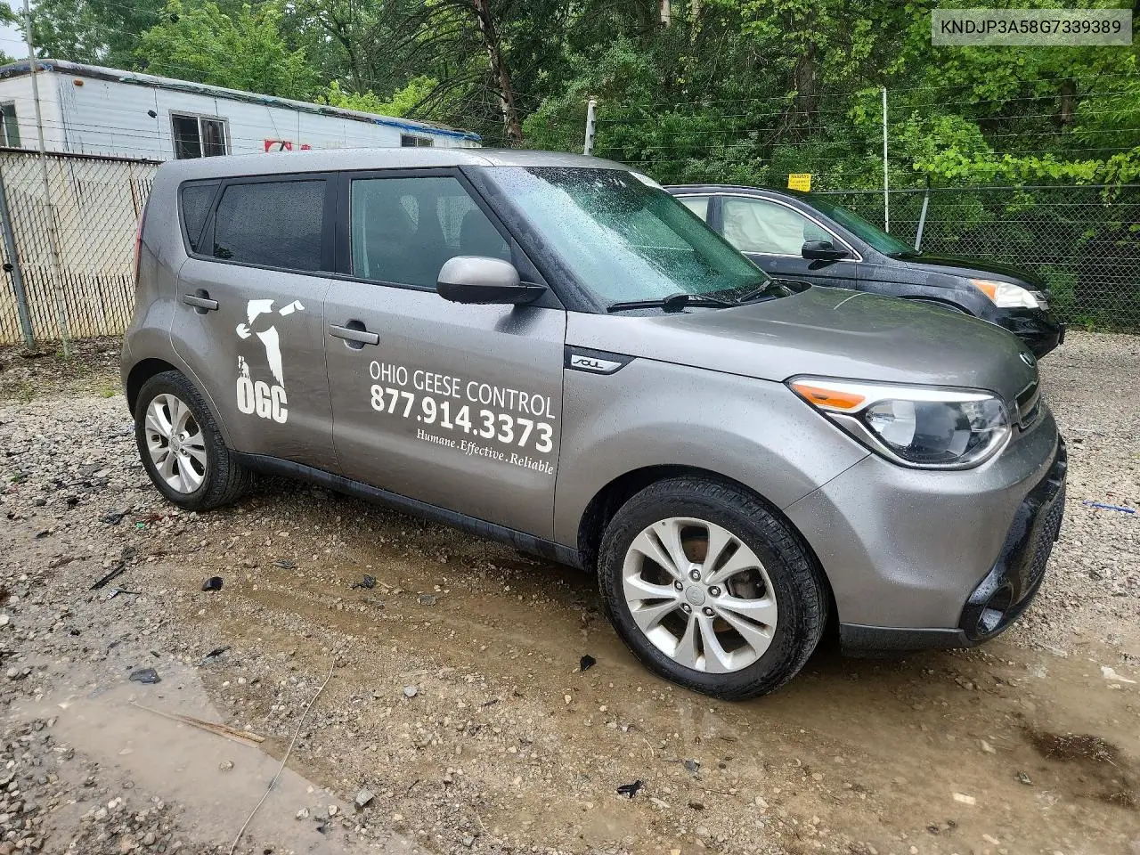 2016 Kia Soul + VIN: KNDJP3A58G7339389 Lot: 61187266