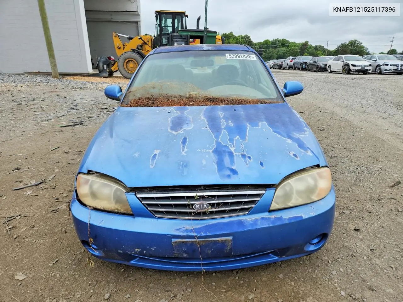 2002 Kia Spectra Base VIN: KNAFB121525117396 Lot: 53992806