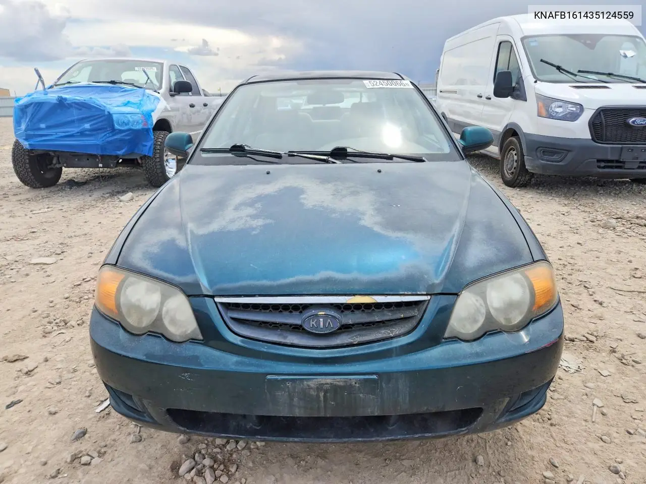 2003 Kia Spectra Gs VIN: KNAFB161435124559 Lot: 52450066