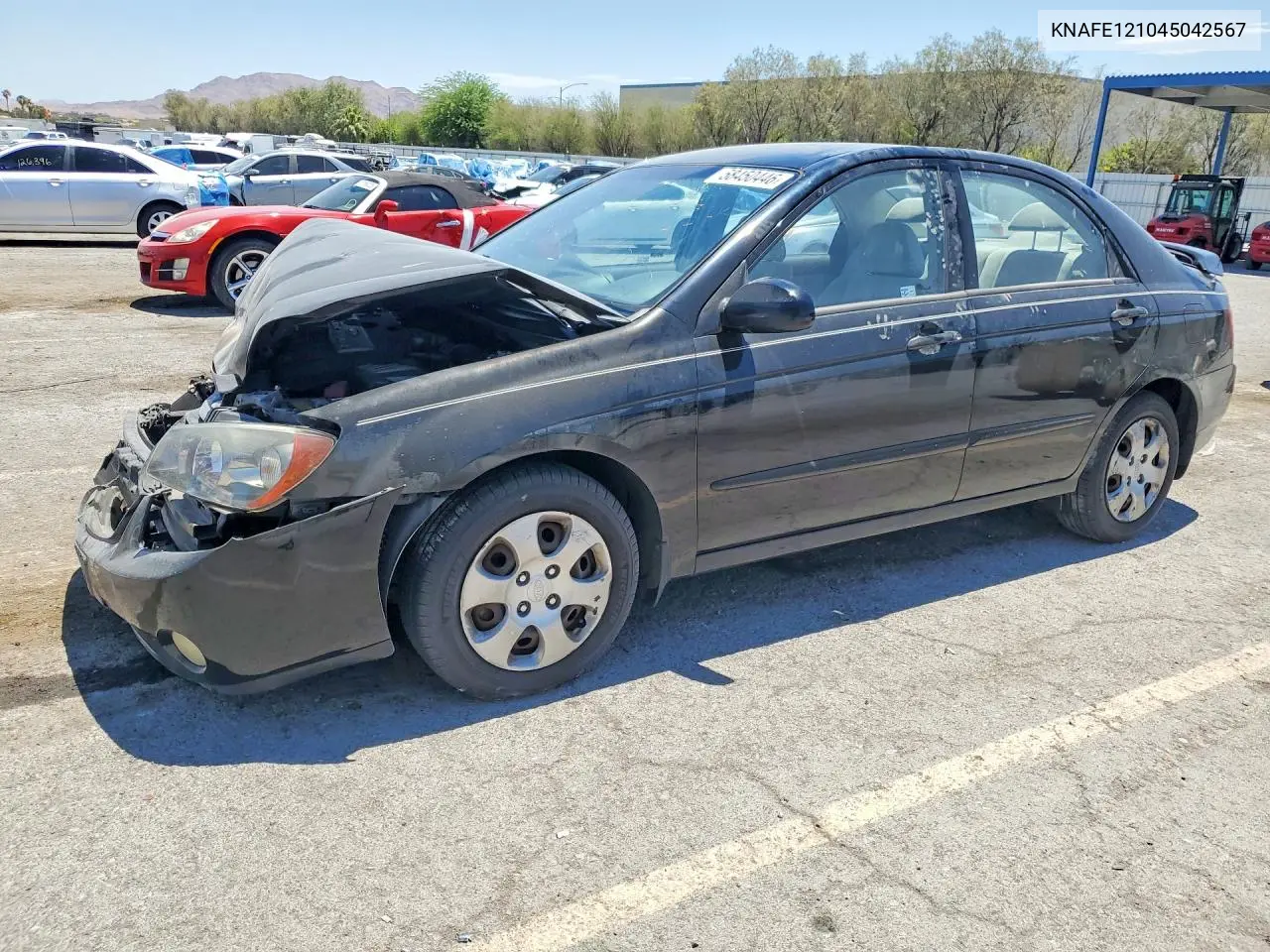 2004 Kia Spectra Lx VIN: KNAFE121045042567 Lot: 58450446