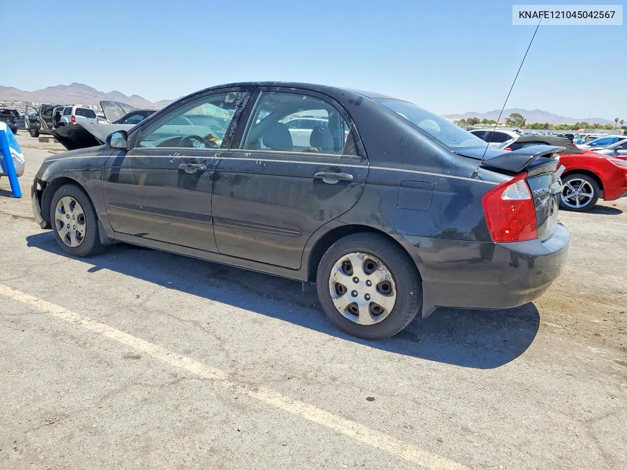 2004 Kia Spectra Lx VIN: KNAFE121045042567 Lot: 58450446