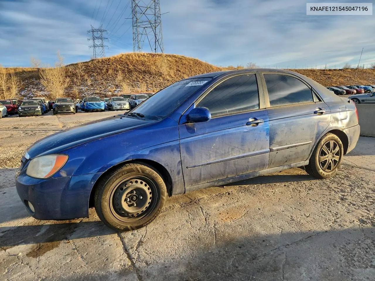 2004 Kia Spectra Lx VIN: KNAFE121545047196 Lot: 74065055