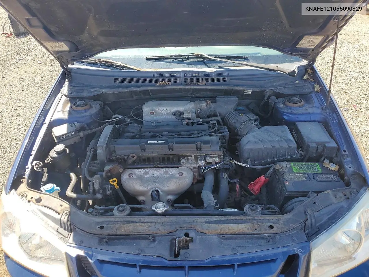 2005 Kia Spectra Lx/Ex VIN: KNAFE121055090829 Lot: 51472286