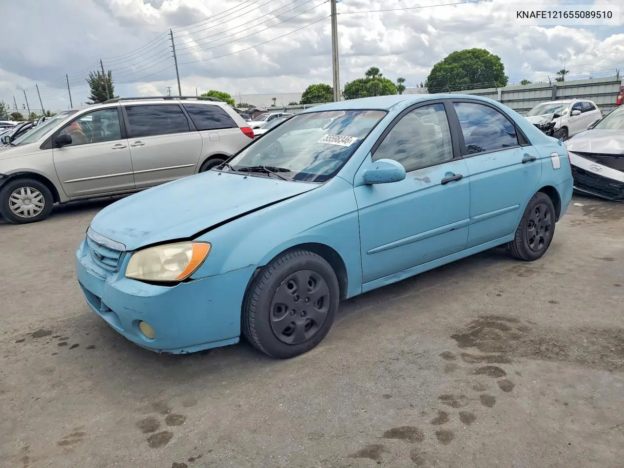 2005 Kia Spectra Lx VIN: KNAFE121655089510 Lot: 55598346