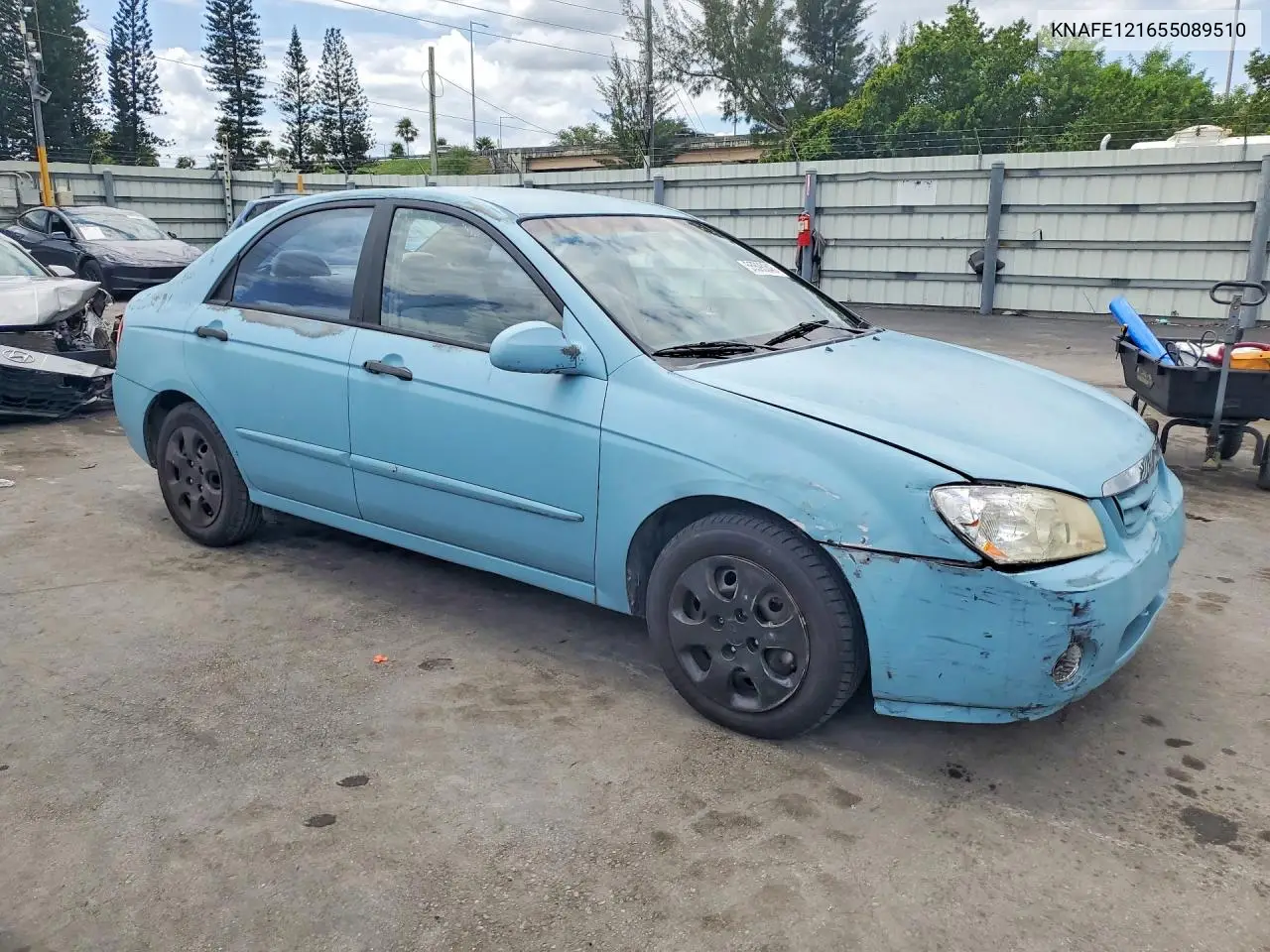 2005 Kia Spectra Lx VIN: KNAFE121655089510 Lot: 55598346