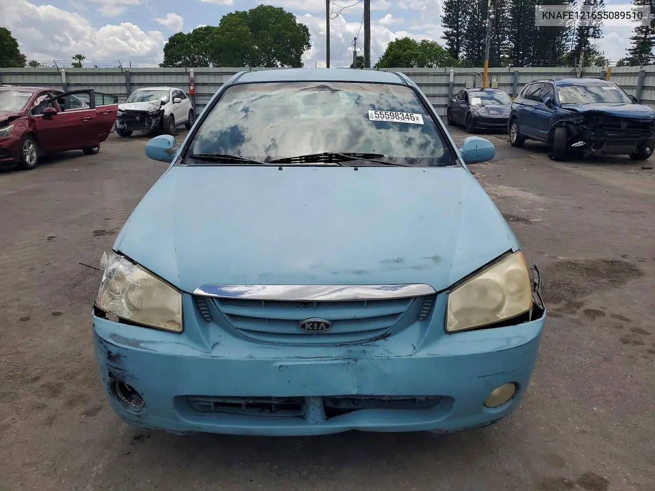 2005 Kia Spectra Lx VIN: KNAFE121655089510 Lot: 55598346