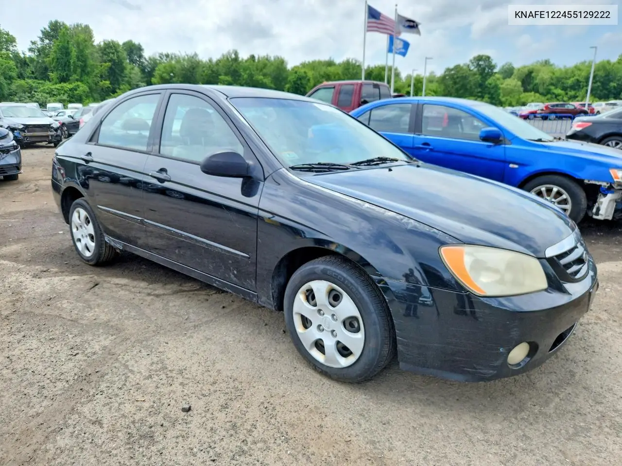 2005 Kia Spectra Lx VIN: KNAFE122455129222 Lot: 57332286