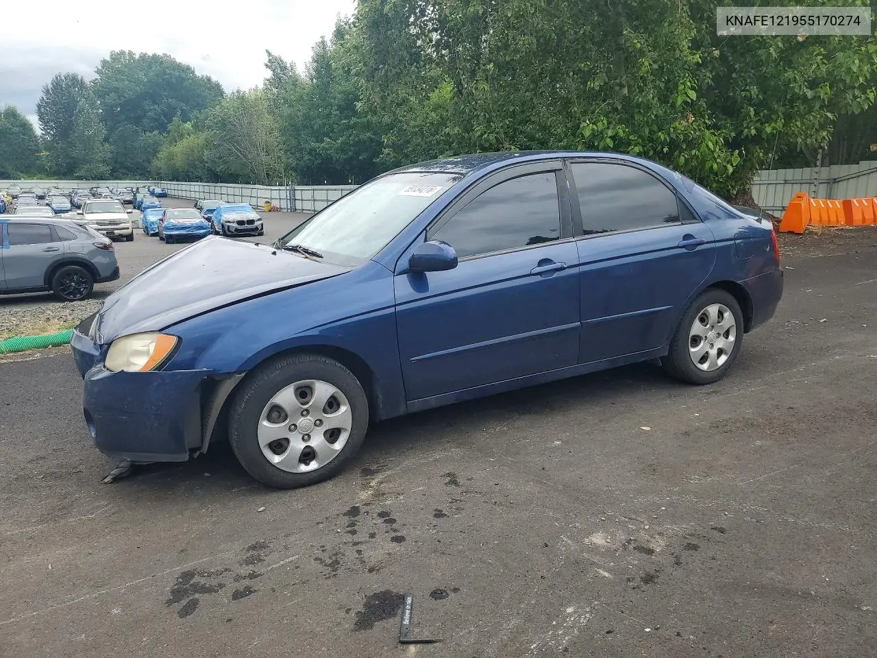 2005 Kia Spectra VIN: KNAFE121955170274 Lot: 59134276