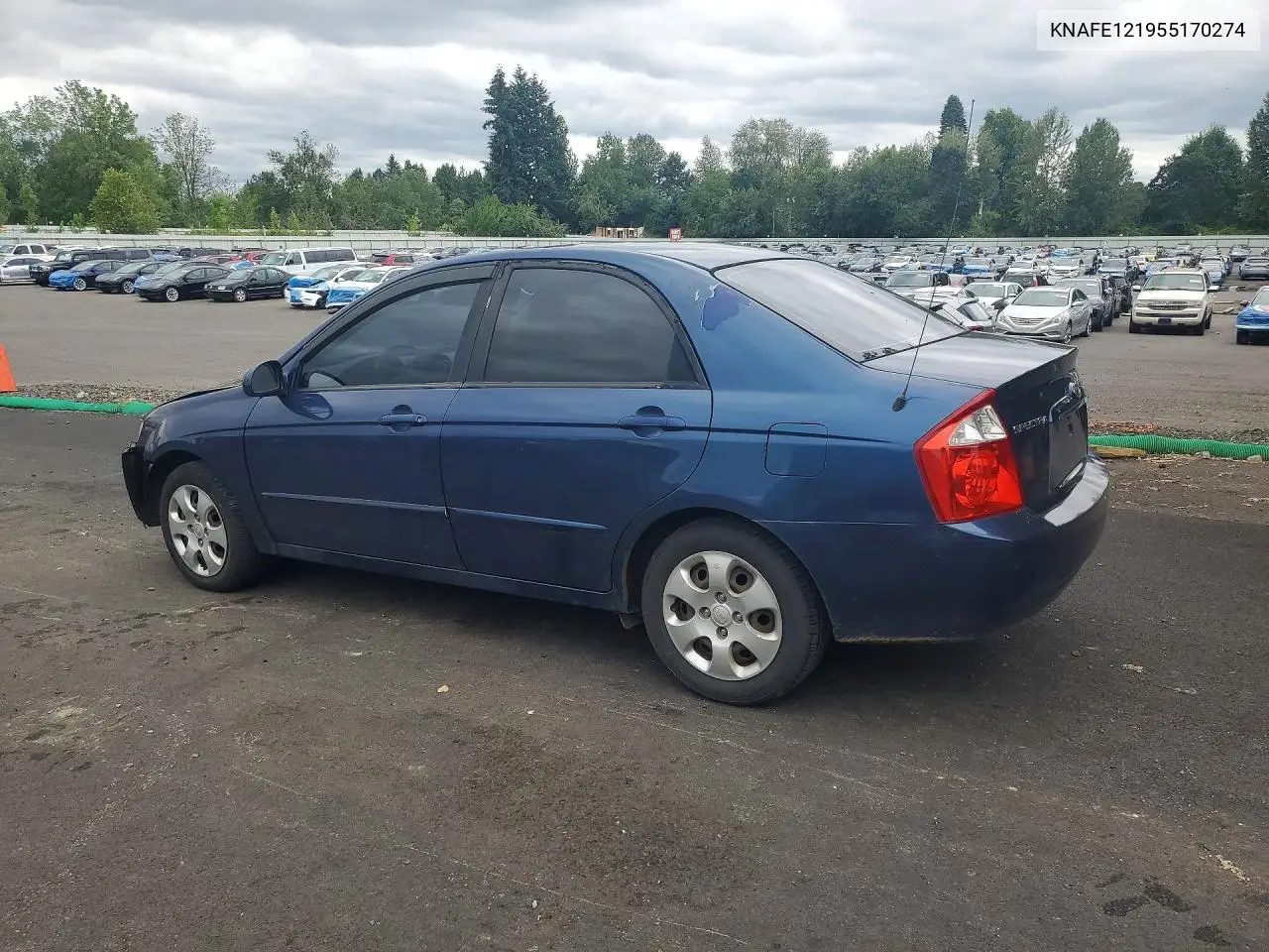 2005 Kia Spectra VIN: KNAFE121955170274 Lot: 59134276