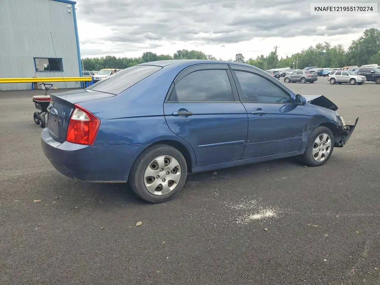 2005 Kia Spectra VIN: KNAFE121955170274 Lot: 59134276