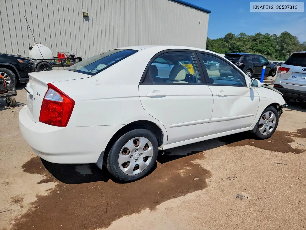 2006 Kia Spectra Ex VIN: KNAFE121365373131 Lot: 50115656