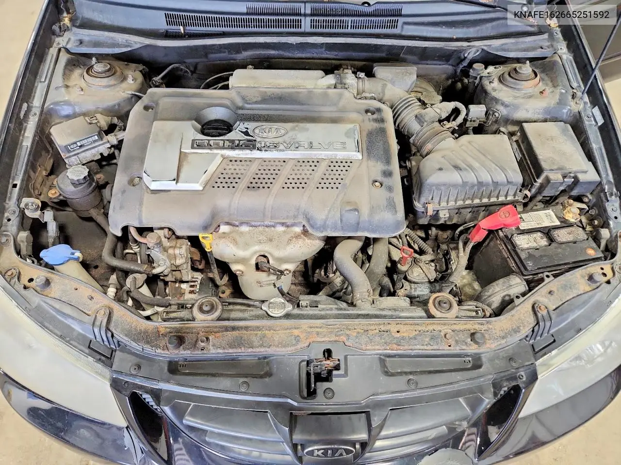 2006 Kia Spectra Spectra5 VIN: KNAFE162665251592 Lot: 61384886