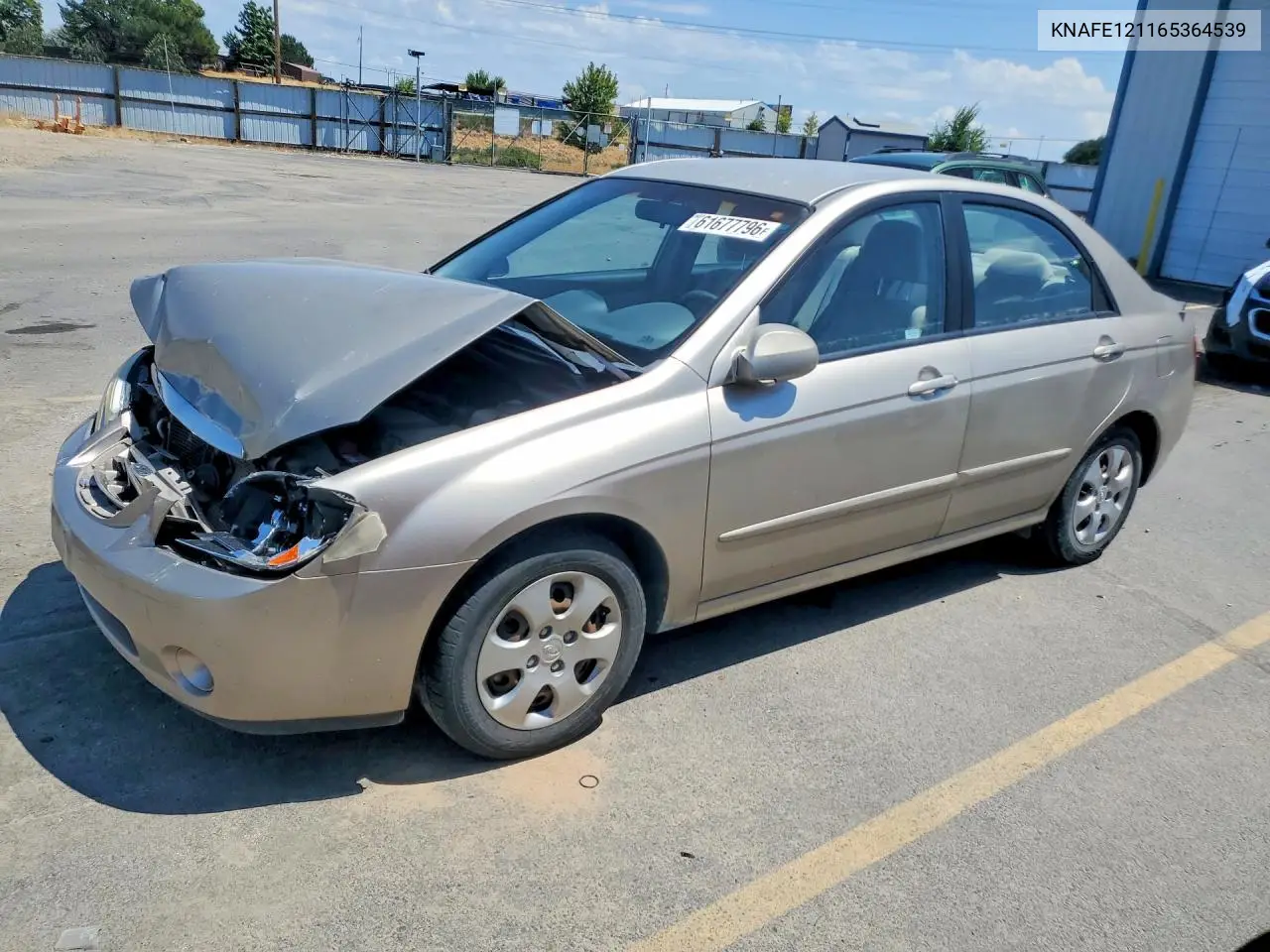 2006 Kia Spectra Ex VIN: KNAFE121165364539 Lot: 61677796