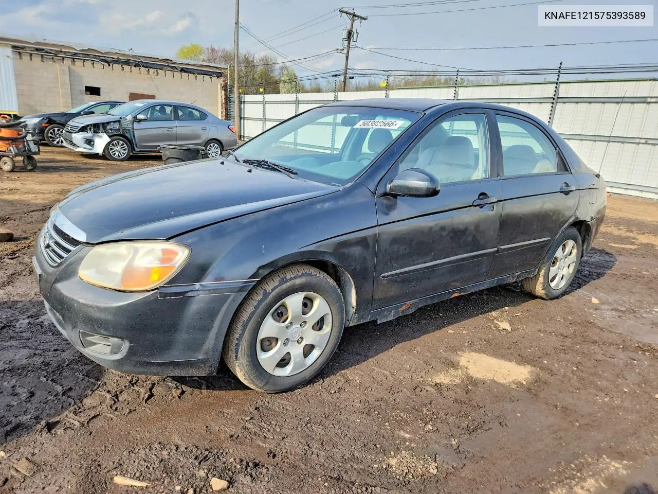 2007 Kia Spectra Lx VIN: KNAFE121575393589 Lot: 50302566