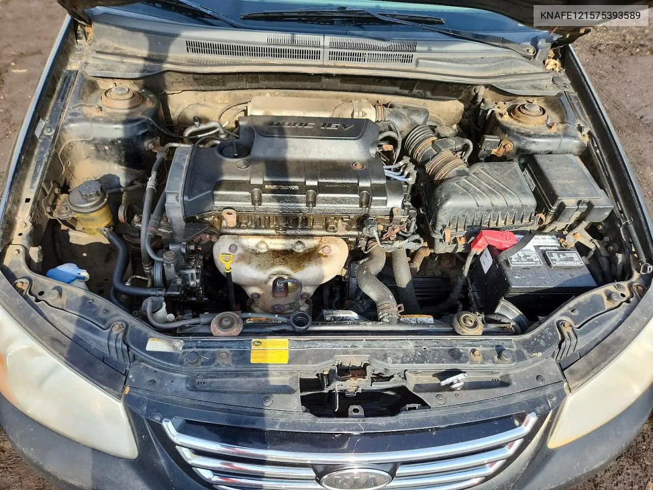 2007 Kia Spectra Lx VIN: KNAFE121575393589 Lot: 50302566