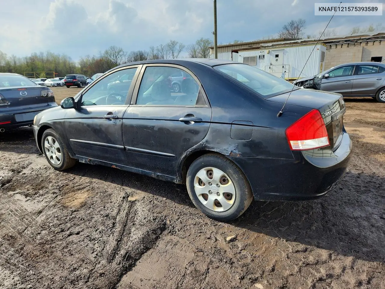 2007 Kia Spectra Lx VIN: KNAFE121575393589 Lot: 50302566